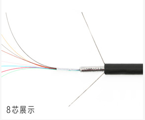 標題-1.jpg